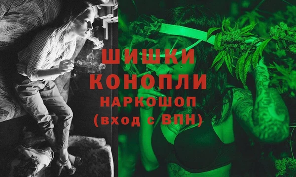 индика Балабаново