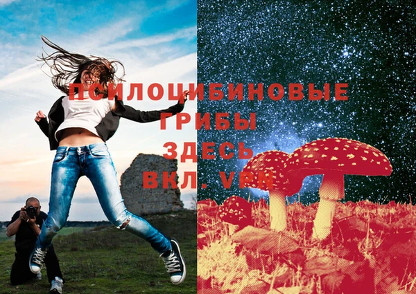 метадон Мегион